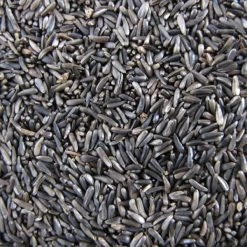 Mill Creek Seed Co Bird food Nyjer Bird Seed 5 lb Bag