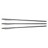 Excalibur Arrows and shafts Firebolt Crossbow Arrow Kit -Ornithology Sales 22CAVIL 3