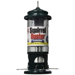 Brome Bird Care Bird feeders Squirrel Buster Standard