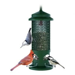 Ornithology Sales -Ornithology Sales 401653 B00ABGSX4S 1. V378142977