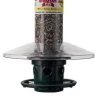 Brome Bird Care Bird feeders Squirrel Buster Plus Weather Guard -Ornithology Sales 416057