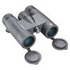 Bushnell Regular binoculars Prime Binoculars 8x32 -Ornithology Sales 564837 BP832B