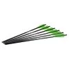Excalibur Arrows and shafts Firebolt Carbon Arrows -Ornithology Sales 583308